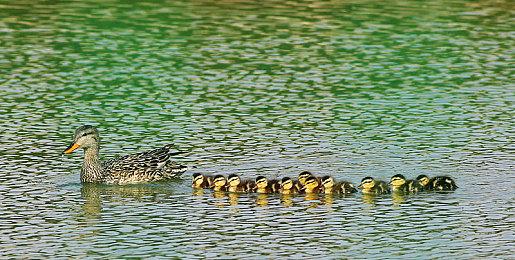 《质量效应5》将采用逼真艺术风格 照片级写实画面